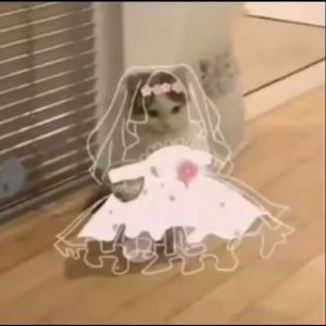 Meet your Posher, Jasmine